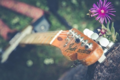 Telecaster